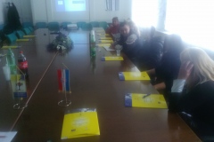 Trening edukacija za predstavnike romske nacionalne manjine